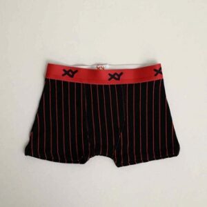 boxerxyart1090n2